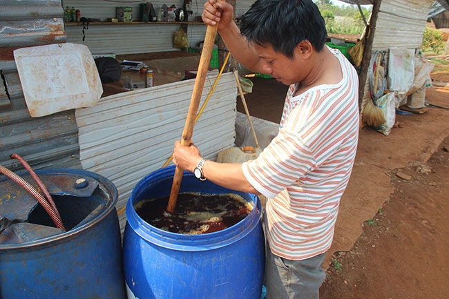 Anh Nguyễn Hoàng Anh, Giám đốc Công ty cổ phần GoOrganic đang thực hiện  công đoạn ủ lá neem.