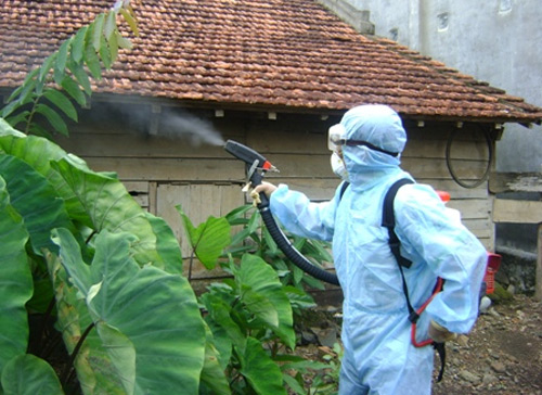 Phun hóa chất diệt muỗi là một trong những biện pháp hữu hiệu phòng chống bệnh viêm não Nhật Bản. 
