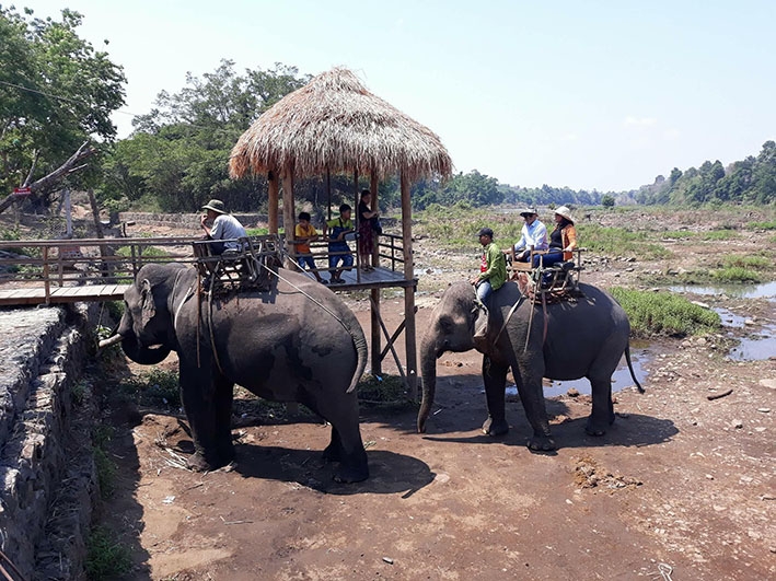 Du khách cưỡi voi tham quan trên sông Sêrêpốk đoạn qua xã Krông Na (huyện Buôn Đôn). 