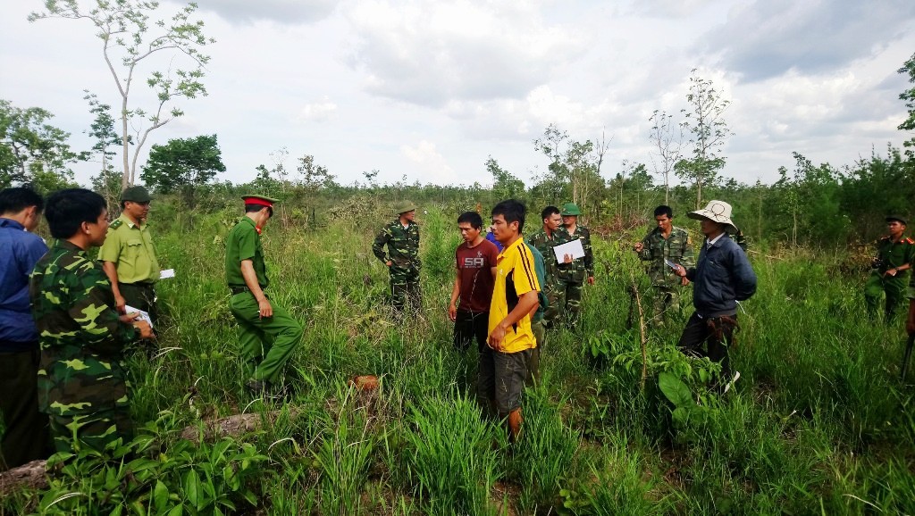 Các đơn vị kiểm tra hiện trường chặt phá rừng
