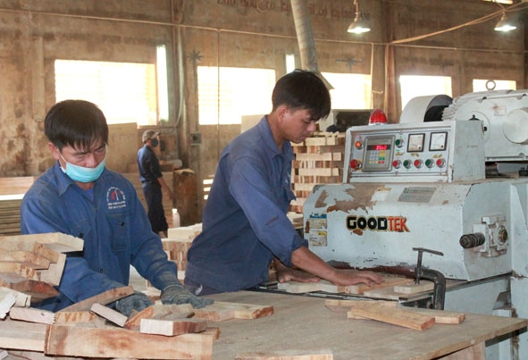 Nhiều  doanh nghiệp sản xuất,  chế biến gỗ chưa quan tâm trang bị đầy đủ phương tiện bảo hộ  cho người  lao động. 