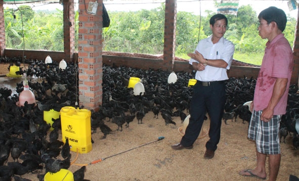 Mô hình chăn nuôi gà trên đệm lót sinh học của gia đình anh Lưu Văn Đức ở xã Ea M’Droh (huyện Cư M’gar). 