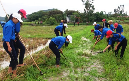 Đoàn viên, thanh niên xã Cư Kty (huyện Krông Bông) nạo vét kênh mương nội đồng.