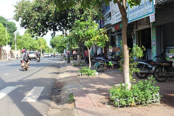 Xe máy đậu đỗ trên vỉa hè theo vạch quy định, tạo sự thông thoáng trên tuyến đường Phan Bội Châu (TP. Buôn Ma Thuột). 