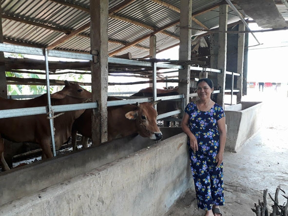 Bà Võ Thị Thanh (thôn Đoàn Kết, xã Ea Kmút) bên đàn bò của gia đình.