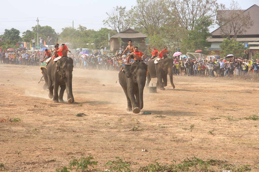 Đua voi từ lâu đã trở thành nét đặc sắc tại Lễ hội văn hóa truyền thống các dân tộc huyện Buôn Đôn. Ảnh: Lan Anh