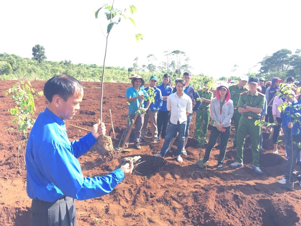 Đông đảo đoàn viên, thanh niên xã Cư Né tham gia phong trào trồng và chăm sóc cây xanh do Huyện Đoàn Krông Búk tổ chức.