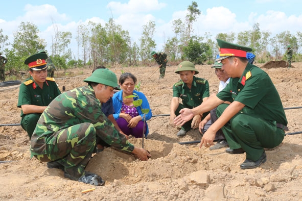 Cán bộ,  chiến sĩ  Đoàn 737 và đoàn viên, thanh niên địa phương giúp đỡ  nhân công và hướng dẫn  kỹ thuật trồng mít Thái  cho gia đình ông Hồ Văn Thành.   