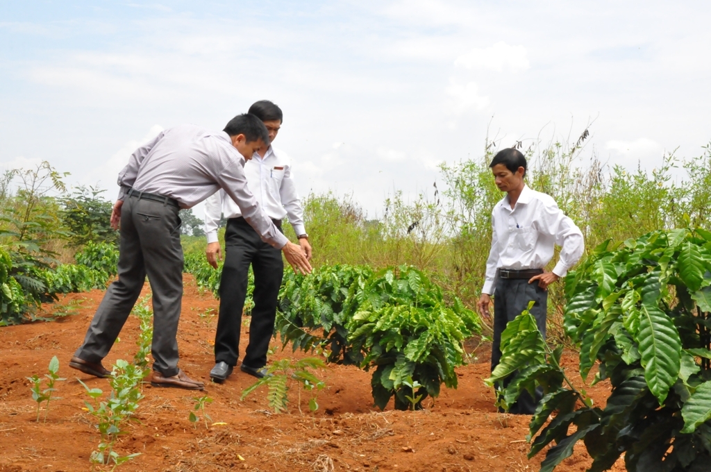 Cán bộ Agribank Đắk Lắk kiểm tra hiệu quả sử dụng vốn vay của một dự án tại huyện Ea Kar