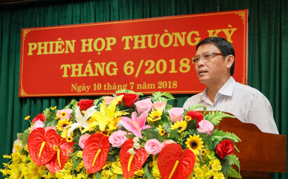 Phó Chủ tịch UBND tỉnh Nguyễn Tuấn Hà phát biểu tại phiên họp. (Ảnh: H. Gia)