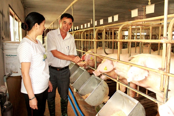 Cán bộ Trạm Chăn nuôi – Thú y huyện kiểm tra việc xây dựng cơ sở chăn nuôi heo an toàn sinh học của gia đình anh Nguyễn Văn Thưởng ở xã Ea Kmút. 