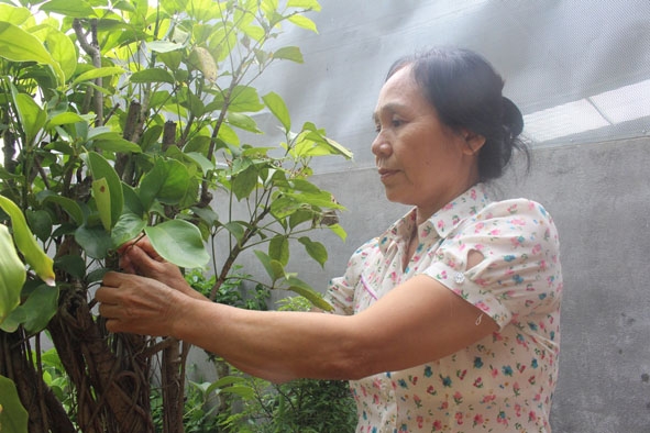 Bà Trần Thị Thảo với niềm vui chăm sóc cây cảnh.