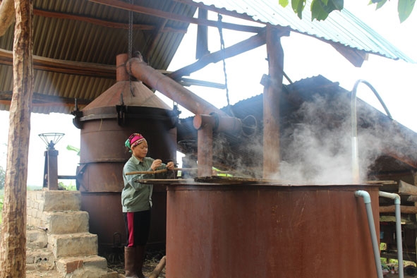 Để tăng thêm thu nhập từ cây sả, gia đình chị Phùng Thị Lâm, thôn 1, xã Ea Tir đã xây dựng lò sản xuất tinh dầu sả. 