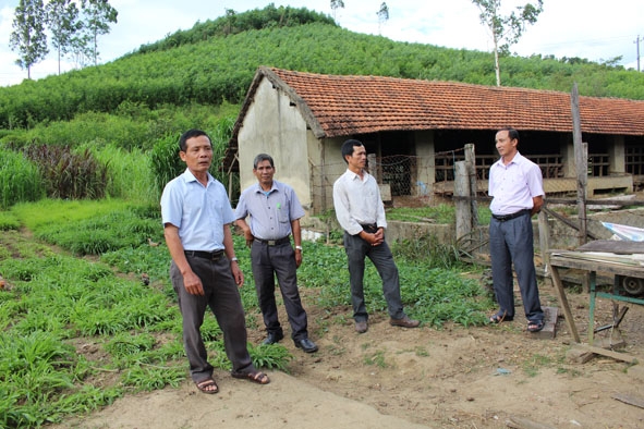 Lãnh đạo Hội CCB huyện M’Đrắk thăm trang trại nuôi bò của gia đình hội viên  Trần Đình Chính (ngoài cùng bên trái). 