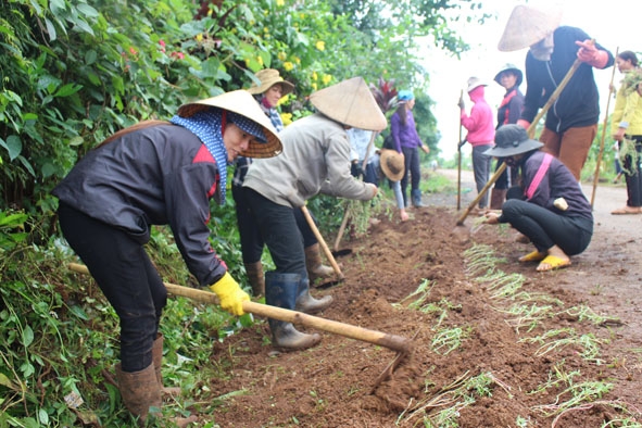 Các chị em trong “Tổ làm công” ra quân trồng hoa dọc các tuyến đường buôn Ea Kiêng. 