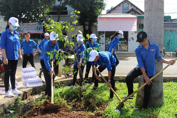 Đoàn viên, thanh niên huyện Krông Ana tham gia trồng cây xanh. 
