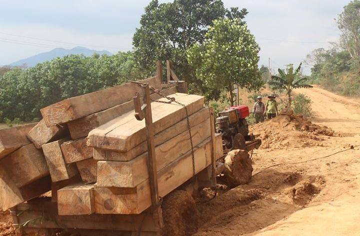 Xe chở gỗ lậu bị lực lượng chức năng bắt trên địa bàn huyện M’Đrắk.  Ảnh: V.Tiếp