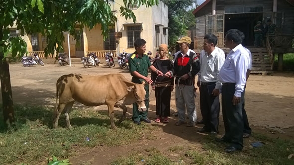 Lực lượng vũ trang huyện Krông Pắc tặng bò sinh sản cho hộ đồng bào nghèo buôn kết nghĩa - buôn Ea Yông B (xã Ea Yông).