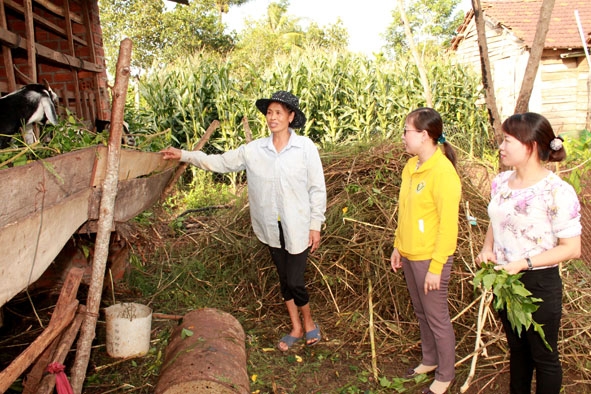 Cán bộ phụ nữ huyện Ea Kar kiểm tra việc sử dụng vốn vay khởi nghiệp của gia đình bà Phạm Thị Thanh ở thôn Sơn Lộc, xã Cư Huê.