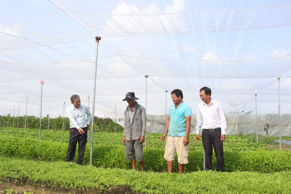 Cán bộ Hội Nông dân huyện Krông Pắc tham quan mô hình trồng rau VietGAP của HTX Dịch vụ nông nghiệp Nhân An. 