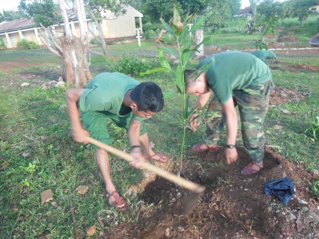 Cán bộ, chiến sĩ Tiểu đoàn 303 trồng cây xanh xung quanh doanh trại. Ảnh: R.Huỳnh
