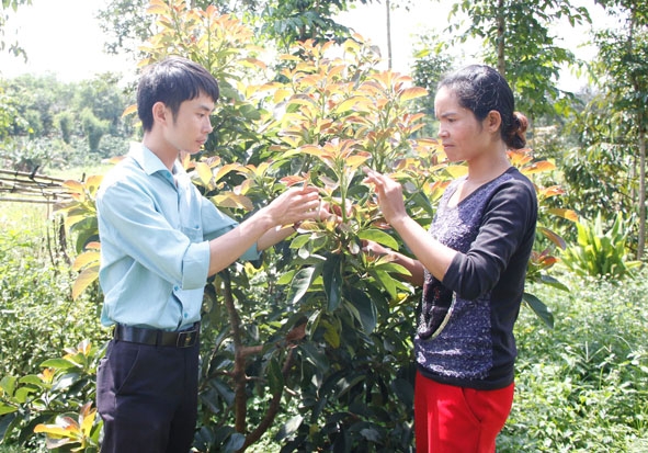Ông Trần Ngọc Sơn, Phó Chủ tịch UBMTTQ VN xã  Tân Lập đang  hướng dẫn người dân cách  chăm sóc  cây trồng. 