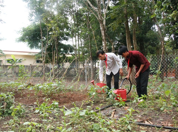 Các em học sinh Trường THCS Lê Lợi tận dụng khoảng đất trống của trường trồng rau  để cải thiện bữa ăn hàng ngày.  