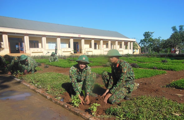 Chiến sĩ Tiểu đoàn 303 (Trung đoàn 584, Bộ Chỉ huy Quân sự tỉnh) trồng cây xanh xung quanh doanh trại . 