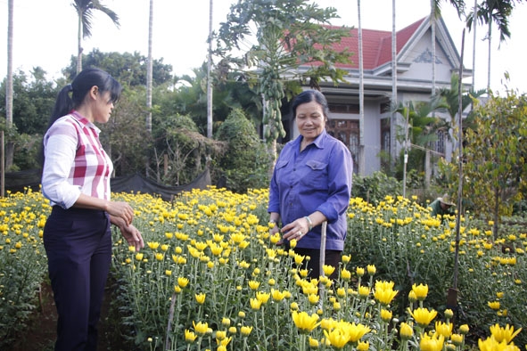 Bà Phạm Thị Huệ (bên phải) đang chăm sóc vườn hoa của gia đình.