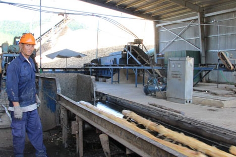 Một cơ sở chế biến dăm gỗ tại xã Cư Mta, huyện M’Đrắk.  (Ảnh minh họa) 