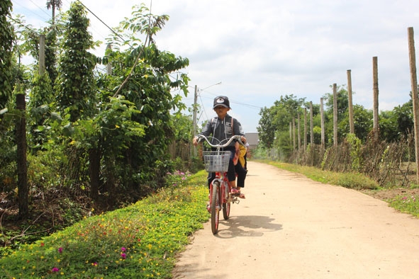 Tuyến đường liên thôn được bê tông hóa từ nguồn đóng góp của người dân xã Băng Adrênh.