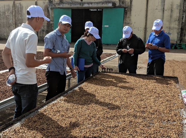 kiểm tra việc chế biến cà phê mang chỉ dẫn địa lý tại một doanh nghiệp ở huyện Krông Pắc