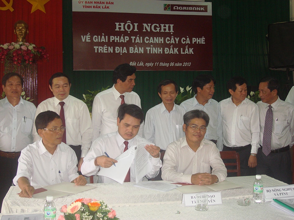 Tại Hội nghị về giải pháp tái canh cây cà phê trên địa bàn tỉnh Đắk Lắk (tháng 6-2013), nhiều bản ghi nhớ về tài trợ vốn tái canh cho doanh nghiệp  được ký kết.