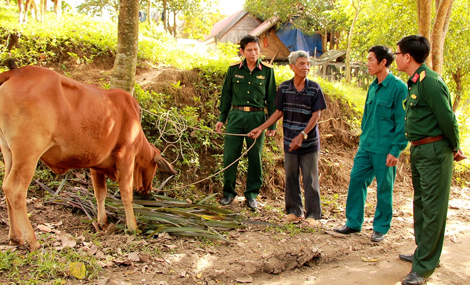 Cán bộ, chiến sĩ Ban CHQS huyện M'Đrắk thăm hỏi tình hình sản xuất của gia đình ông Y Siêr Niê sau khi  được hỗ trợ bò. 