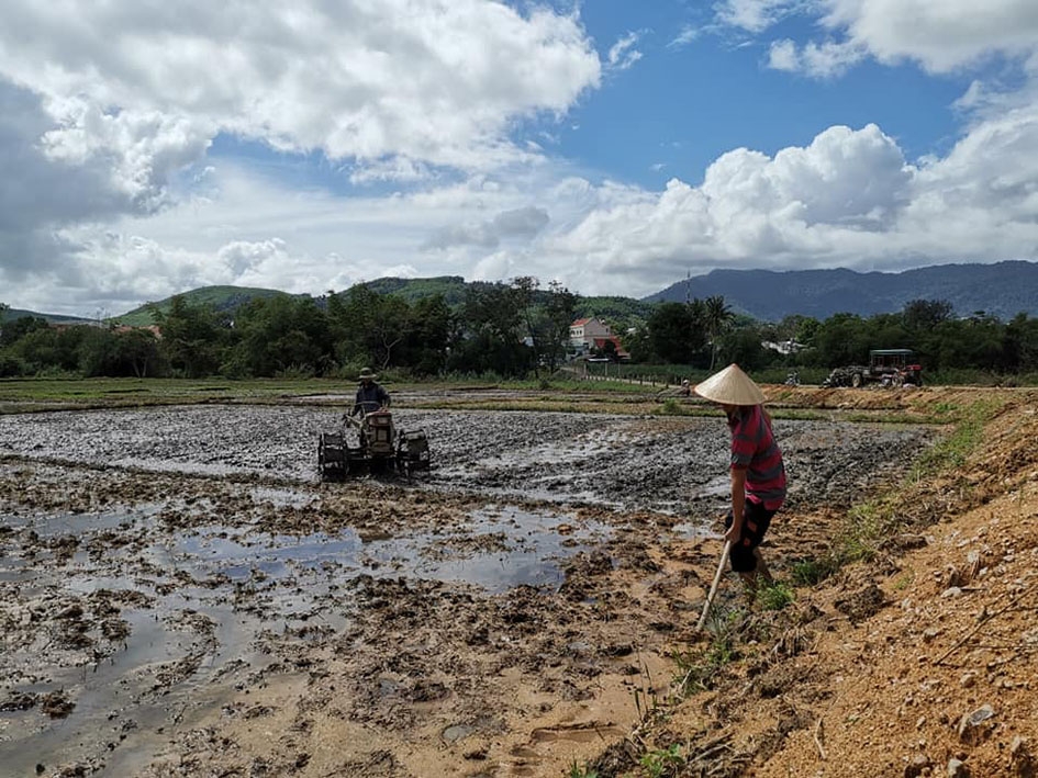 Nông dân dọn đất bị sạt lở tràn xuống ruộng lúa tại cánh đồng tổ 1, thị trấn M'Đrắk.  