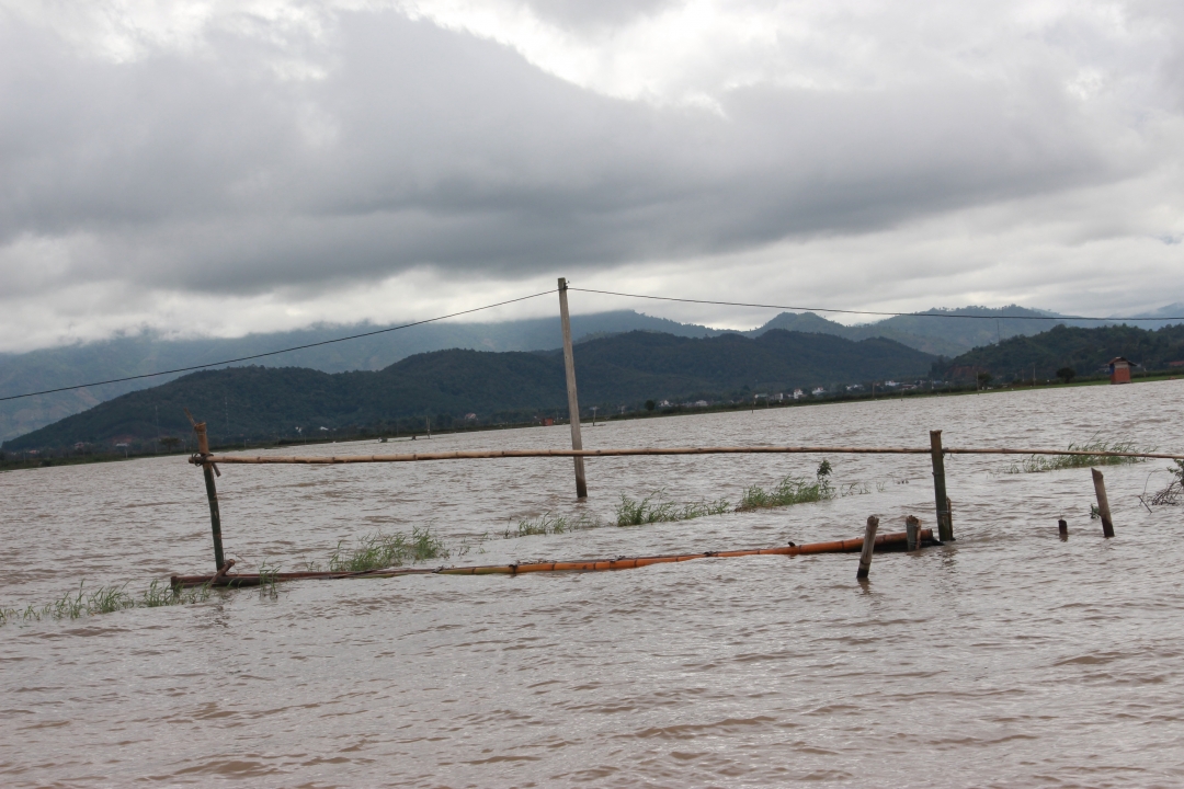 Nước lũ lên cao khiến cây cầu khỉ bắc qua các kênh mương thủy lợi tại xã Đắk Liêng bị ngập.
