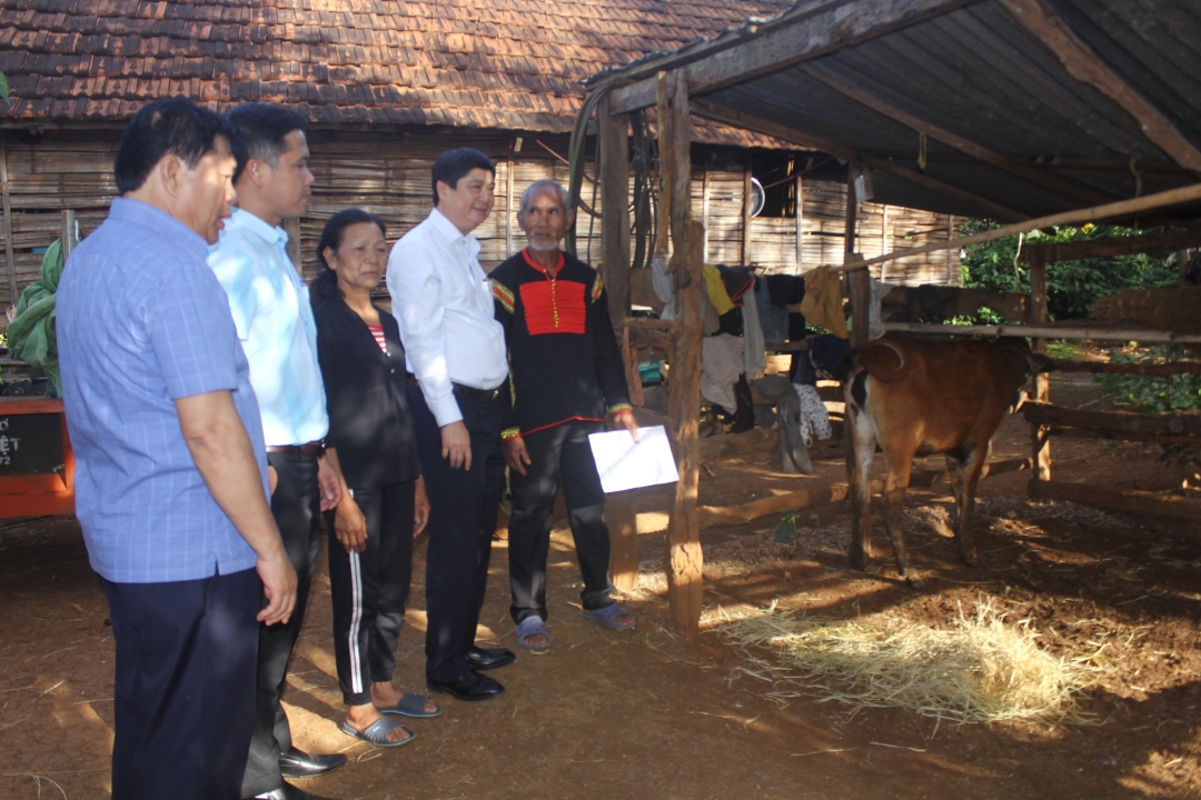 Các đại biểu đi thăm gia đình một hộ dân được nhận bò