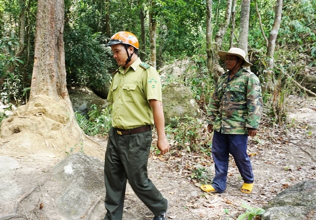 Lực lượng kiểm lâm Vườn Quốc gia Chư Yang Sin tuần tra bảo vệ rừng cùng người dân.