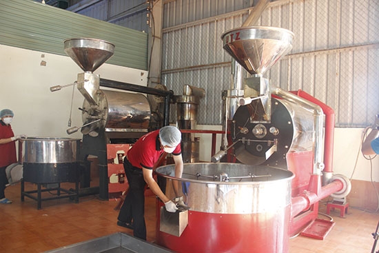 Sản xuất cà phê xuất khẩu tại 