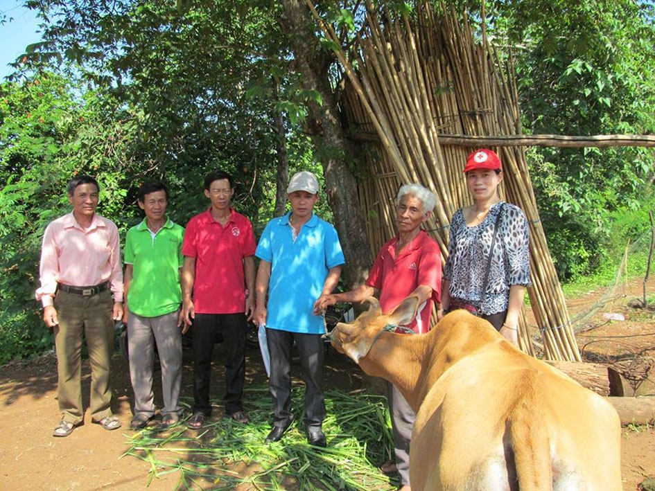 Hội Chữ thập đỏ huyện Krông Pắc trao bò sinh sản tặng hộ nghèo.