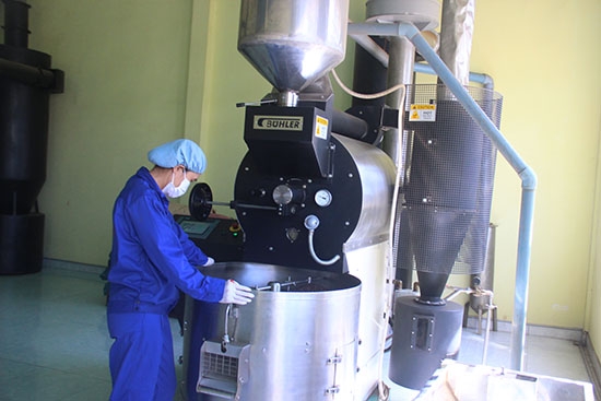 Chế biến cà phê xuất khẩu tại Công ty Cổ phần đầu tư và phát triển An Thái