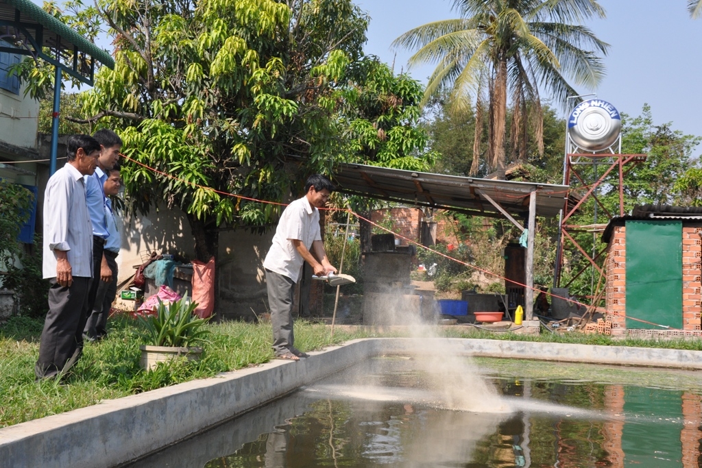 Một hộ dân ở huyện Lắk sử dụng hiệu quả vốn vay của Ngân hàng Chính sách xã hội