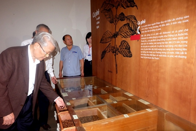 Đồng chí Trần Đức Lương tham quan hiện vật liên quan đến cà phê tại Bảo tàng tỉnh