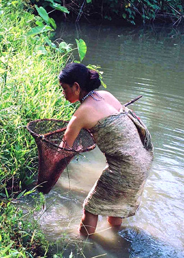Cảnh bắt cá bằng vợt của người Cơ Tu vùng núi Quảng Nam.