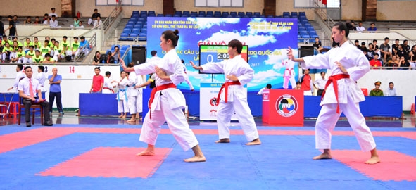   Các võ sĩ biểu diễn tại  Giải cúp  các  câu lạc bộ karatedo quốc gia được  tổ chức  tại  Đắk Lắk.   