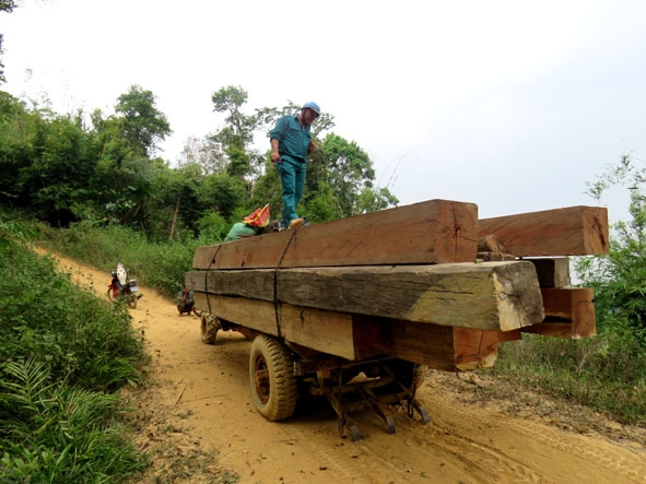 Lực lượng chức năng huyện Ea Kar phát hiện một xe độ chế đang chở gỗ ra khỏi rừng thuộc địa bàn xã Cư Bông. 