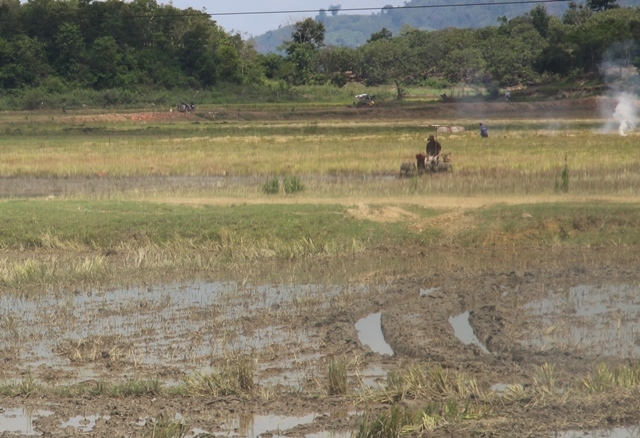 Nông dân huyện Krông Ana làm ruộng chuẩn bị xuống giống cây trồng
