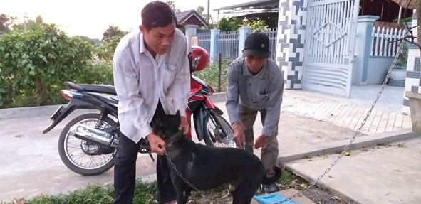 Cán bộ thú y tiêm vắc xin phòng dại chó tại một hộ dân thôn 3, xã Krông Jing.