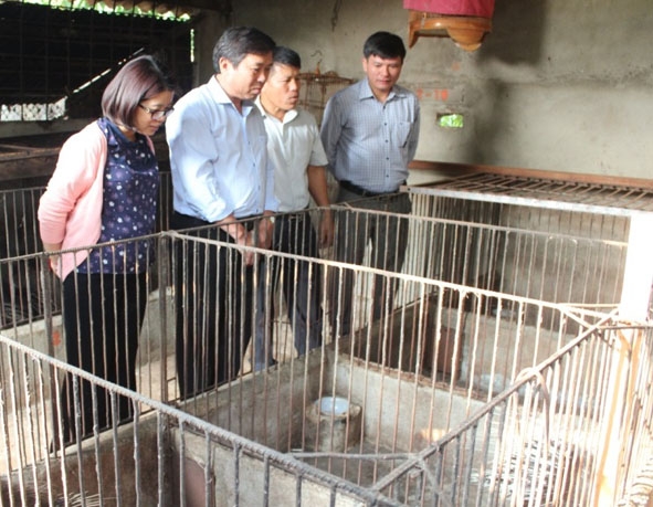 Đồng chí Huỳnh Thị Chiến Hòa (bìa trái), Trưởng Ban Tuyên giáo Tỉnh ủy cùng các đồng chí lãnh đạo huyện Krông Ana thăm trang trại gia đình anh Toán.