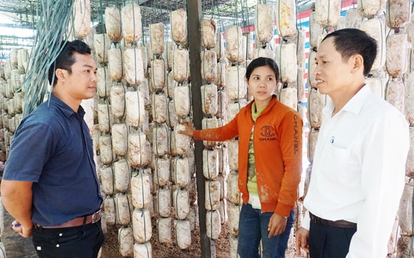 Giải quyết việc làm cho lao động nông thôn là vấn đề được huyện Krông Ana chú trọng.